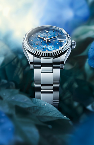 Nuovi modelli 2022 Rolex Gioielleria Benetti Official retail