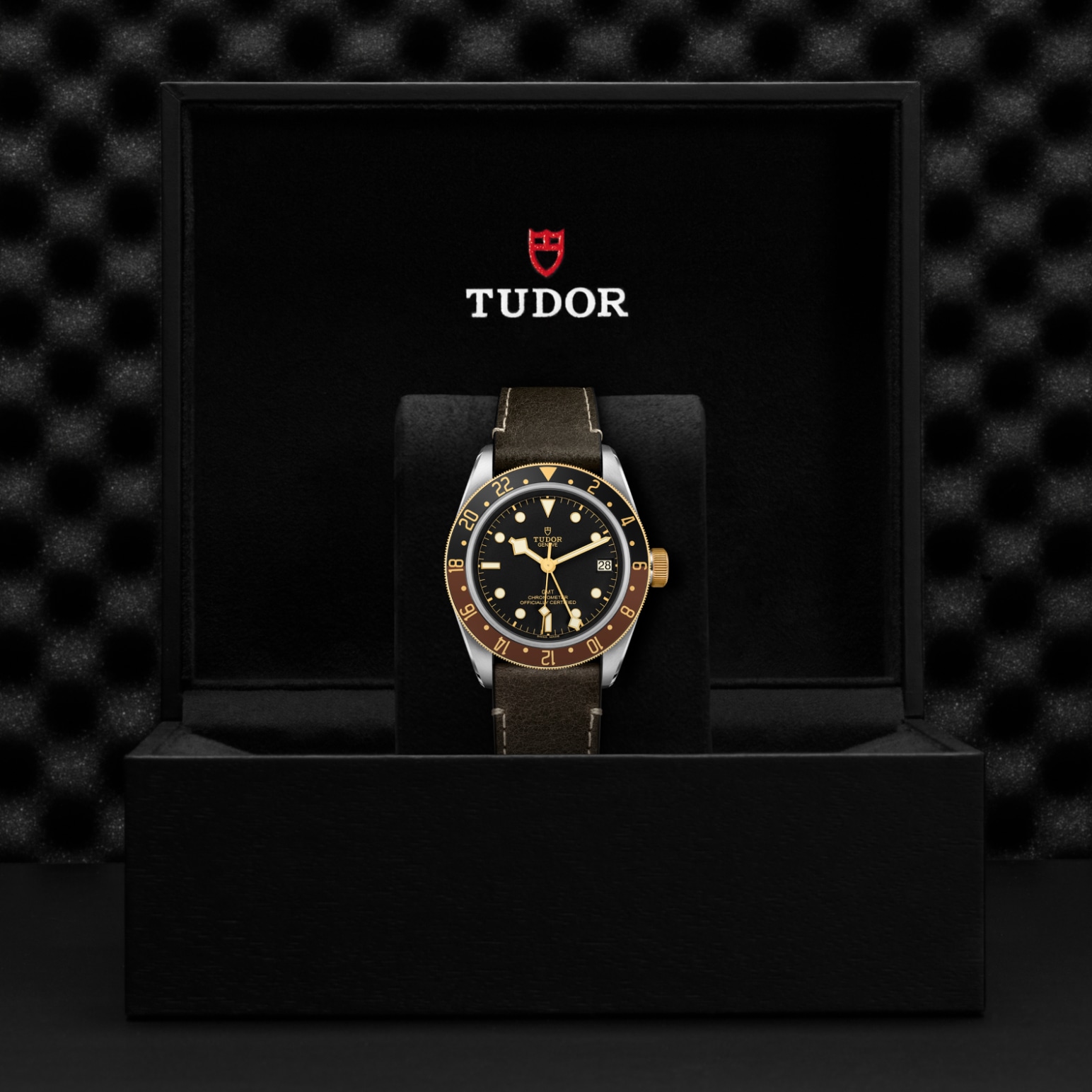 Black Bay GMT S&G - 2