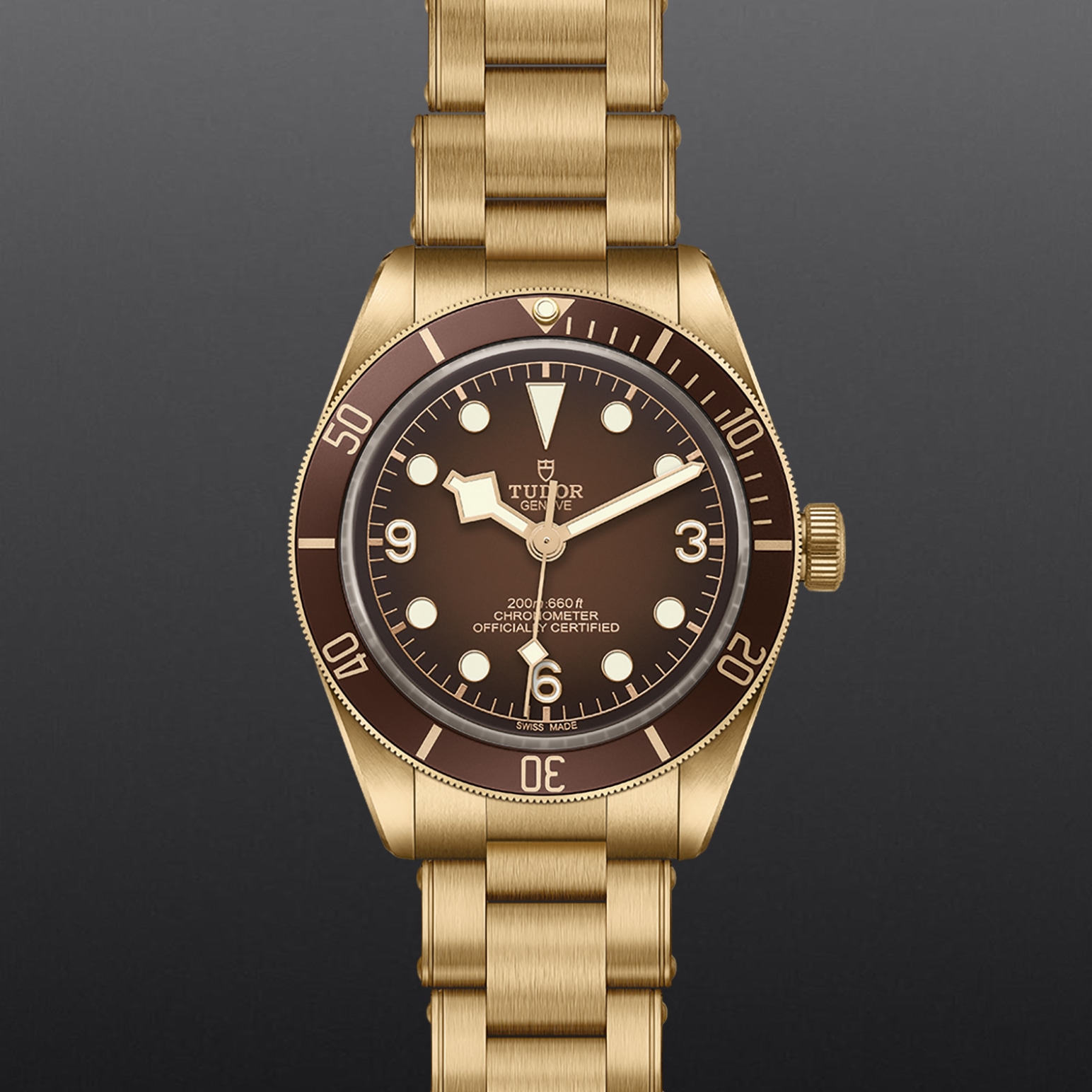 Black Bay 58 Bronze - 6