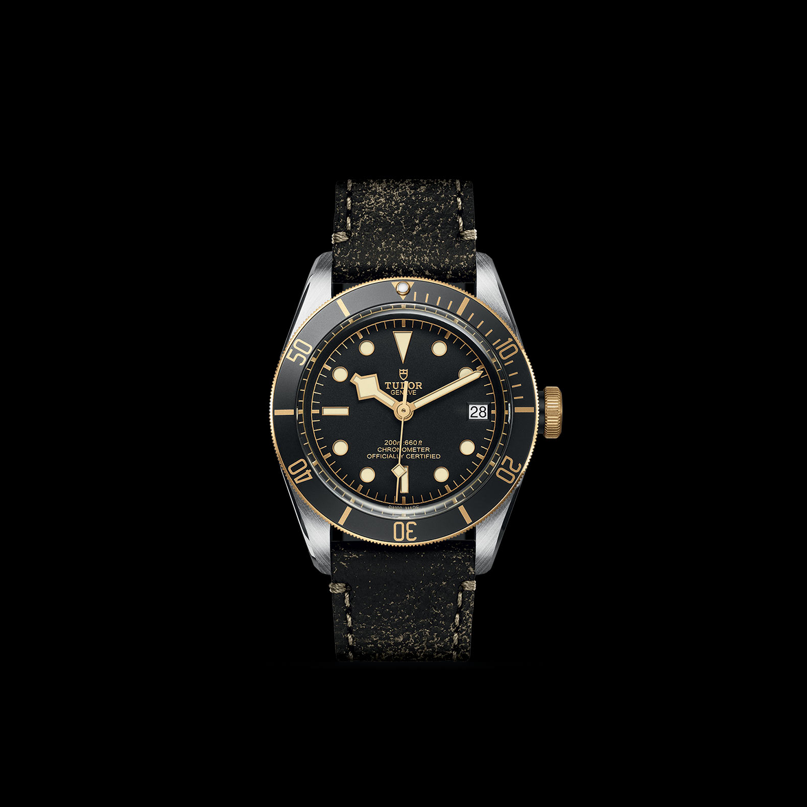 Collezione Tudor: Black Bay S\u0026G