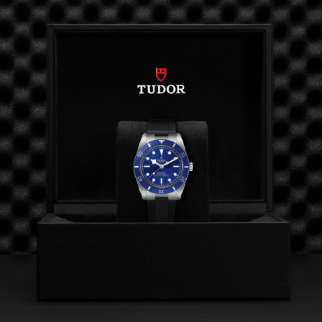 tudor-m79000b-0002-(1)-1779996233