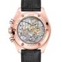 Orologio Speedmaster Moonwatch Professional