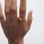 Anello Loop