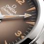 Orologio Seamaster Railmaster