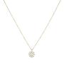 Collana Oro Giallo e Diamanti Brillante