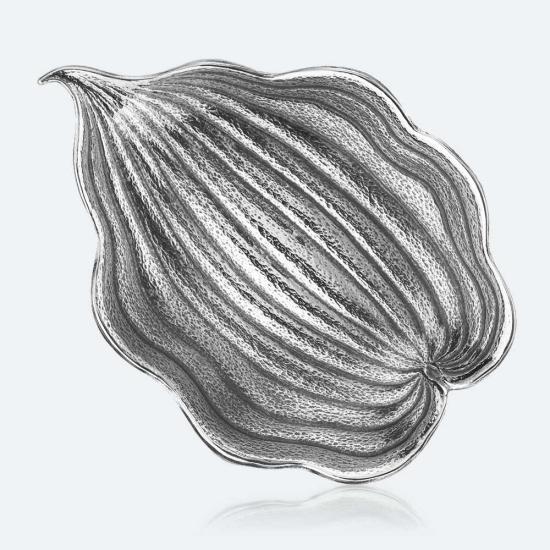 foglia-hosta.jpg