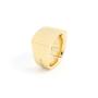 Anello chevalier