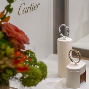 BenettixCartier -12